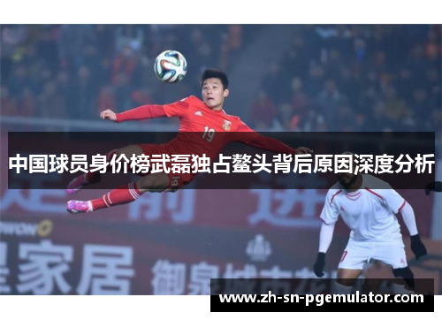中国球员身价榜武磊独占鳌头背后原因深度分析