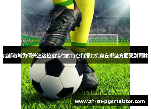成都蓉城为何关注这位边锋他的特点和潜力究竟在哪些方面受到青睐