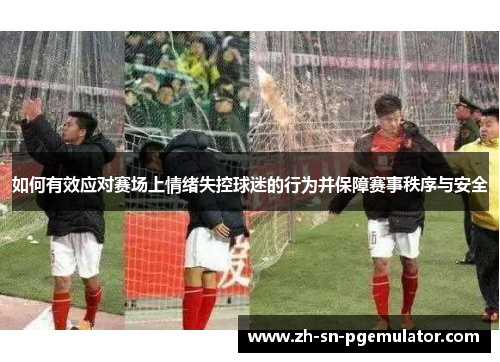如何有效应对赛场上情绪失控球迷的行为并保障赛事秩序与安全