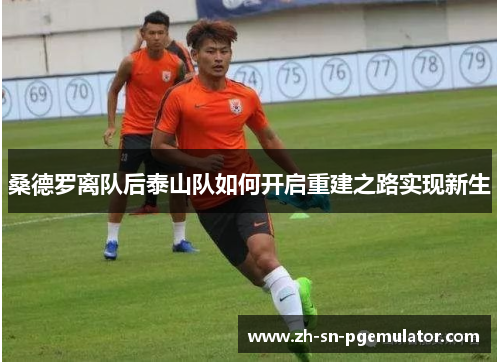 桑德罗离队后泰山队如何开启重建之路实现新生