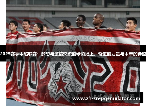 2025赛季中超联赛：梦想与激情交织的绿茵场上，奋进的力量与未来的希望