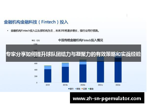 专家分享如何提升球队团结力与凝聚力的有效策略和实战经验