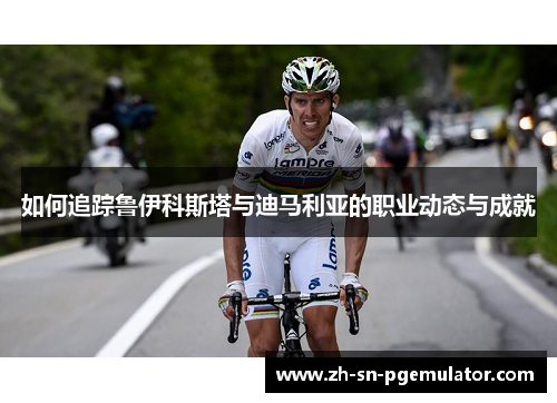 如何追踪鲁伊科斯塔与迪马利亚的职业动态与成就