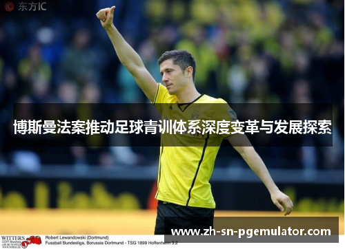 博斯曼法案推动足球青训体系深度变革与发展探索
