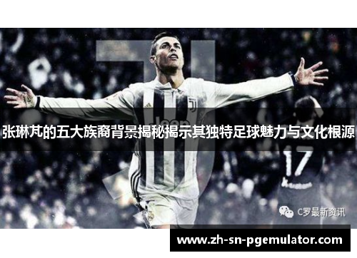 张琳芃的五大族裔背景揭秘揭示其独特足球魅力与文化根源