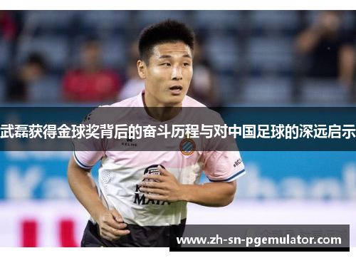 武磊获得金球奖背后的奋斗历程与对中国足球的深远启示