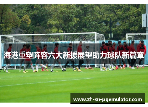 海港重塑阵容六大新援展望助力球队新篇章