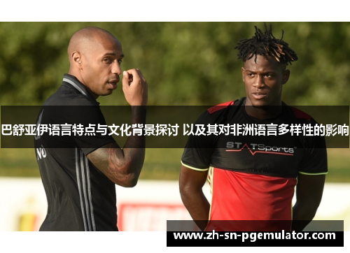 巴舒亚伊语言特点与文化背景探讨 以及其对非洲语言多样性的影响