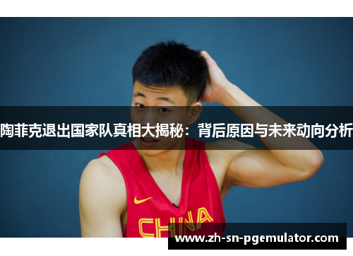 陶菲克退出国家队真相大揭秘：背后原因与未来动向分析