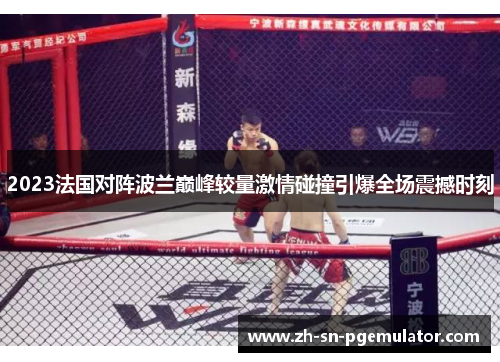 2023法国对阵波兰巅峰较量激情碰撞引爆全场震撼时刻