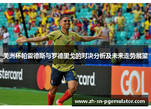 美洲杯帕雷德斯与罗德里戈的对决分析及未来走势展望