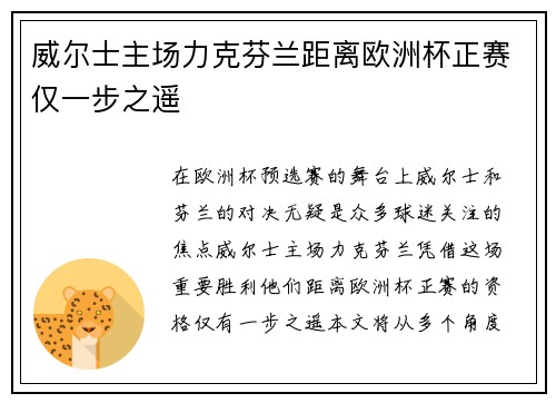 威尔士主场力克芬兰距离欧洲杯正赛仅一步之遥 威尔士主场力克芬兰距离欧洲杯正赛仅一步之遥