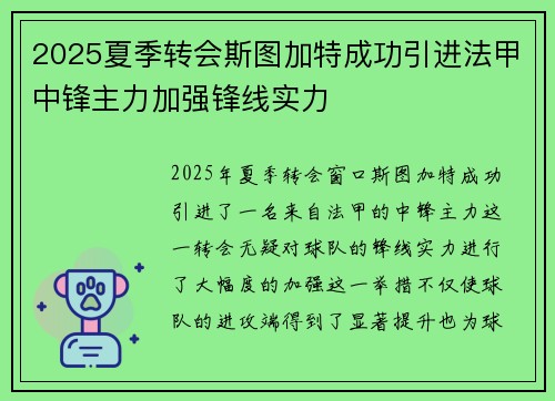 2025夏季转会斯图加特成功引进法甲中锋主力加强锋线实力